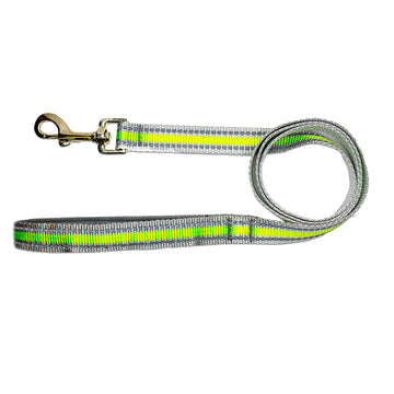 Pawsindia Reflective Nylon Leash for Dogs with a Padded Handle - Green